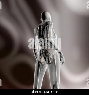 Digitali 3D Rendering della femmina di anatomia umana Foto Stock