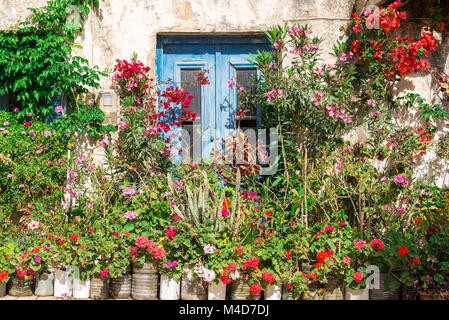 Ricoperto di fiori in casa Paleochora a Creta Foto Stock