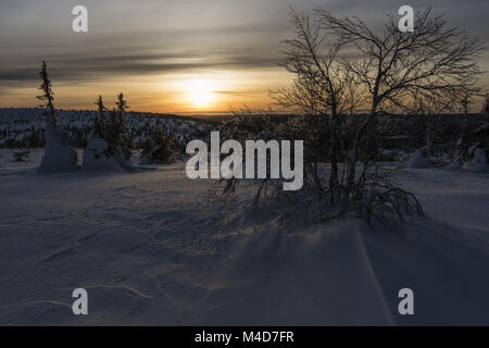 Atmosfera serale, Riisitunturi National Park, Lapponia, Finlandia Foto Stock