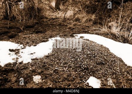 Una vista di un ant hill da una formica della prospettiva di inverno in seppia Foto Stock