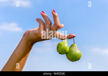 Mano che regge due verde pensile pere nel cielo blu Foto Stock