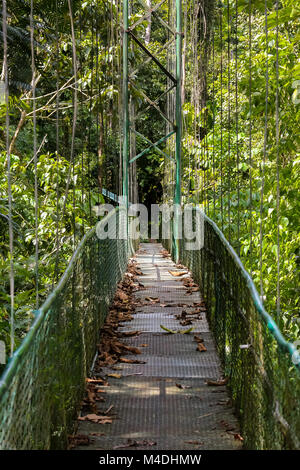 Ponte sospeso nella foresta pluviale in Costa Rica Foto Stock