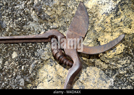 Vecchio arrugginito giardino cesoie appoggiato su un vecchio muro Foto Stock