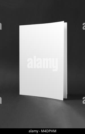 Libro bianco mockup del coperchio Foto Stock