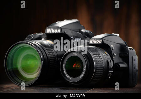 Nikon D810 e D3200 con zoom NIKKOR Foto Stock