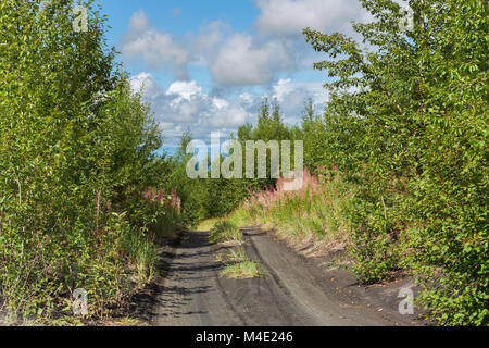 Strada per Klyuchevskoy Nature Park. Penisola di kamchatka. Foto Stock