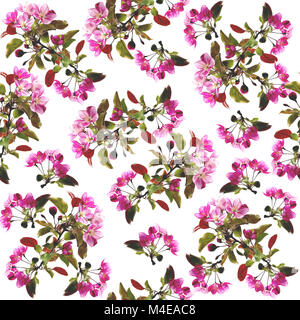 Floral pattern senza giunture - Sfondo a molla Foto Stock