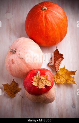 Zucche sul tavolo Foto Stock