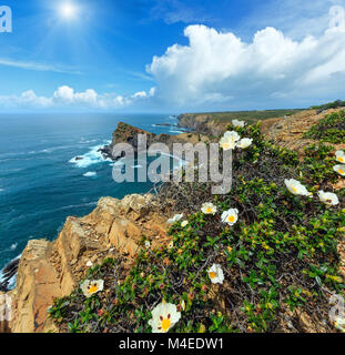 Estate oceano Atlantico sunshiny costa (Algarve, Portogallo). Foto Stock