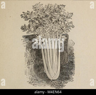 Catalogo annuale di semi affidabile - per il giardino, azienda agricola e campo (1891) (18235969408) Foto Stock