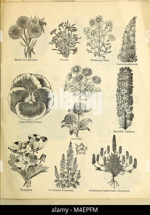 Circolare annuale e il catalogo di vendita al dettaglio di giustificata vegetali e semi di fiori (1876) (14766700784) Foto Stock