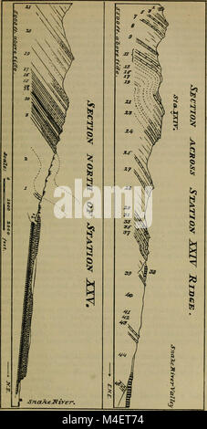 Relazione annuale. 1st-12th, 1867-1878 (1877) (18239083748) Foto Stock