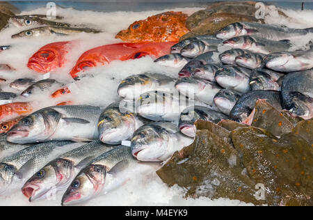 Pesce su ghiaccio per la vendita su un mercato del pesce Foto Stock