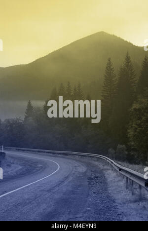 Strada di montagna nei Carpazi. girare in Strada Foto Stock