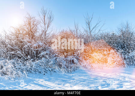 Winter Park con il pupazzo di neve alberi e un sacco di neve. Foto Stock