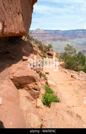 Scendendo la prova di Kaibab Foto Stock