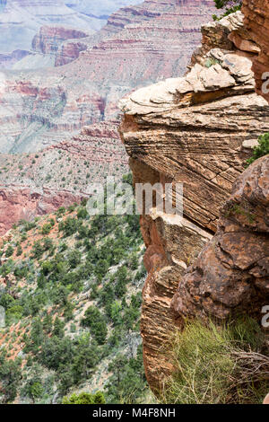Scendendo la prova di Kaibab Foto Stock