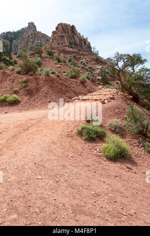 Scendendo la prova di Kaibab Foto Stock