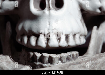 Vista ravvicinata sul cranio umano Foto Stock