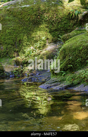 Piccolo fiume di Itatiaia Parco Nazionale Foto Stock