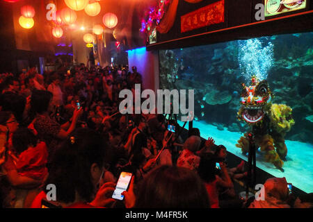 KUALA LUMPUR, Malesia - 16 febbraio: La gente guarda un cinese Lion ed esibizioni di danza da professionista subacqueo all'interno dell'Aquaria KLCC durante la celebrazione del Capodanno cinese a Kuala Lumpur il 16 febbraio 2018. Il nuovo anno lunare cinese il 16 febbraio sarà il benvenuto l'anno del cane (noto anche come anno del cane di terra). (Foto di Samsul detto/AFLO) (Malesia) Foto Stock