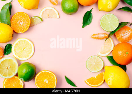 Lay piatto di agrumi come lime, limone, arancio e mandarino con arancia foglie sulla luce sfondo rosa facendo un telaio Foto Stock