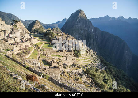 Rovine di Machu Picchu Città al mattino, Perù Foto Stock