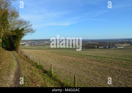 Tunnel di alberi, via dei pellegrini, snodland Foto Stock