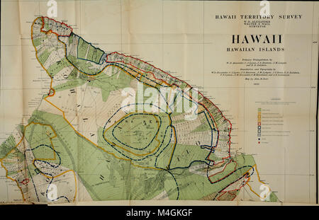 Le relazioni annuali del ministero degli Interni per l'anno fiscale conclusosi il 30 giugno 1906-Governatore delle Hawaii, Consiglio dei commissari indiano (1906) (14781537884) Foto Stock