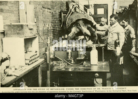 Il rapporto annuale 1915 della New York Zoological Society descrive in dettaglio i risultati conseguiti dalla societyÂ nella conservazione della fauna selvatica, nell'educazione e nella ricerca, compresi aggiornamenti sulle mostre di animali e sui programmi di allevamento. Foto Stock