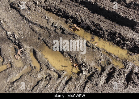 Le tracce delle ruote sul terreno Foto Stock