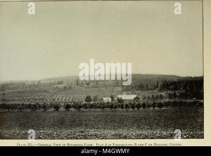 Il rapporto annuale 1914 della New York Agricultural Experiment Station presenta i risultati della ricerca agricola, degli studi sulle colture, delle innovazioni agricole e dei miglioramenti nelle tecniche agricole. Foto Stock