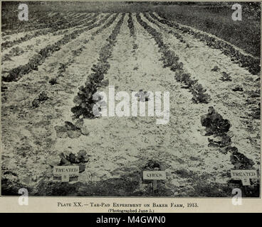 Il rapporto annuale 1914 della New York Agricultural Experiment Station fornisce una panoramica della ricerca condotta in agricoltura, compresi gli studi sulle colture, il controllo degli organismi nocivi e le pratiche agricole. Riflette i progressi compiuti nella scienza agricola durante quell'anno. Foto Stock