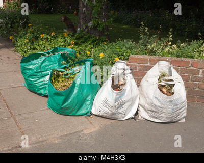 Sacchi di riciclaggio al di fuori di fronte a casa Foto Stock