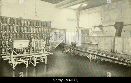 Relazione annuale del Massachusetts Stazione di Esperimento Agricola (1917) (19364843835) Foto Stock