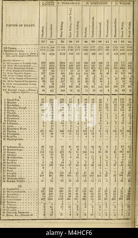 Relazione annuale della Registrar-General di nascite, decessi e matrimoni in Inghilterra (1841) (14597497518) Foto Stock