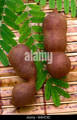 (Tamarindo Tamarindus indica) cialde e lascia sul tavolo Foto Stock