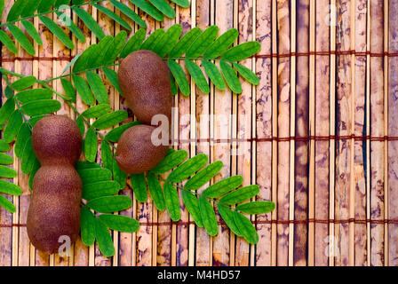 (Tamarindo Tamarindus indica) cialde e foglie per il titolo Foto Stock