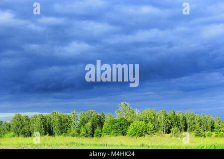 Paesaggio con scure nuvole di pioggia sotto il bosco e prato Foto Stock