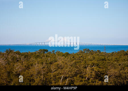 Sunshine Skyway bridge over Tampa Bay visto da Robinson preservare, Bradenton, Florida Foto Stock