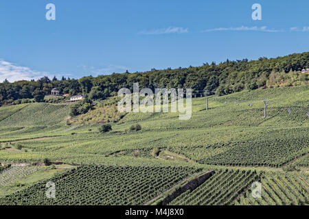 Rüdesheim - Funivia sui vigneti Foto Stock