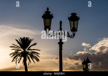 Silhouette di palme e candelabri street lights durante il tramonto Foto Stock