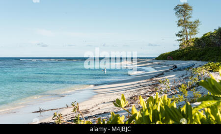 Spiaggia e fisherman, Bird Island, Seicelle Foto Stock