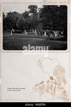 Il libro del 1921 su Arbutus esplora il genere vegetale, fornendo dettagli botanici, classificazioni e usi. Discute varie specie di Arbutus e il loro ruolo ecologico in diverse regioni. Foto Stock