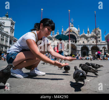 Donna alimentazione turistico piccioni in Piazza - Piazza San Marco - Venezia Italia Foto Stock