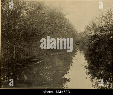 Athletics and Manly Sport (1890) discute i benefici fisici e sociali delle attività atletiche, con particolare attenzione agli sport tradizionali maschili. Copre vari eventi sportivi, metodi di allenamento e il ruolo dell'atletica nello sviluppo di forza, disciplina e carattere. Foto Stock