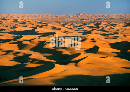 In Algeria. Nei pressi di Timimoun. Western mare di sabbia. Grand Erg Occidental. Deserto del Sahara. Le dune di sabbia. Mare di Sabbia. Background: piccola oasi. Foto Stock