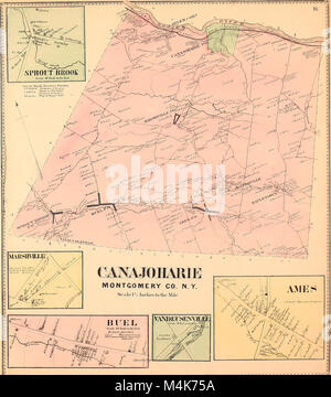 Atlas di Montgomery e Fulton contee, New York - dalle indagini effettive (1868) (14595184020) Foto Stock