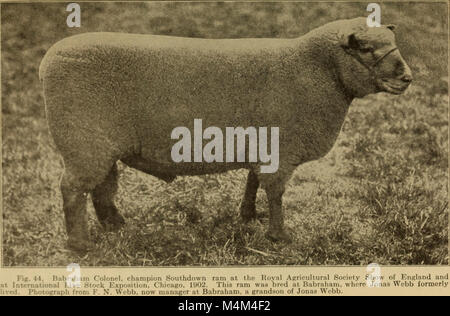 "Beginning in Animal husbandry" (1912) fornisce un'introduzione all'allevamento e alla cura del bestiame, concentrandosi sui principi di base della cura degli animali e delle pratiche di allevamento. Foto Stock
