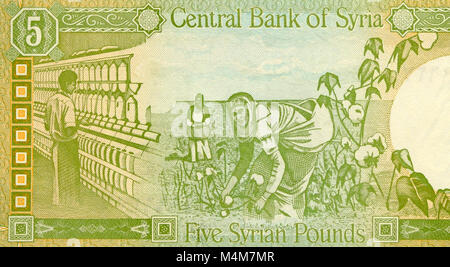 La siria cinque 5 Pound Bank nota Foto Stock